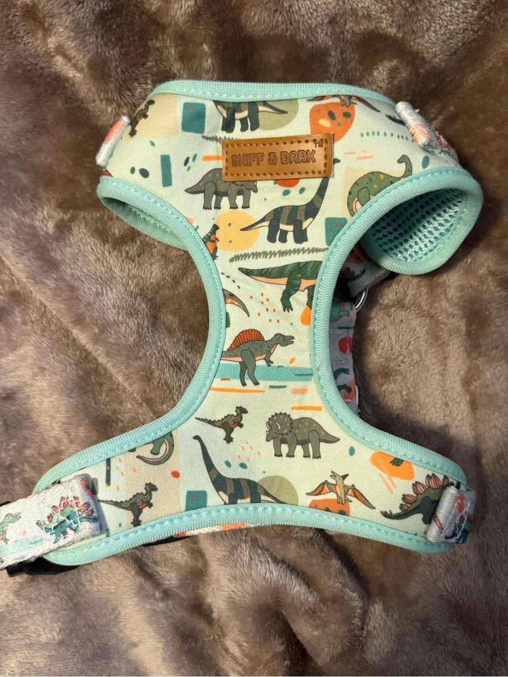 Mint Dinosaur Dog Harness - Cute Printed Pet Harness